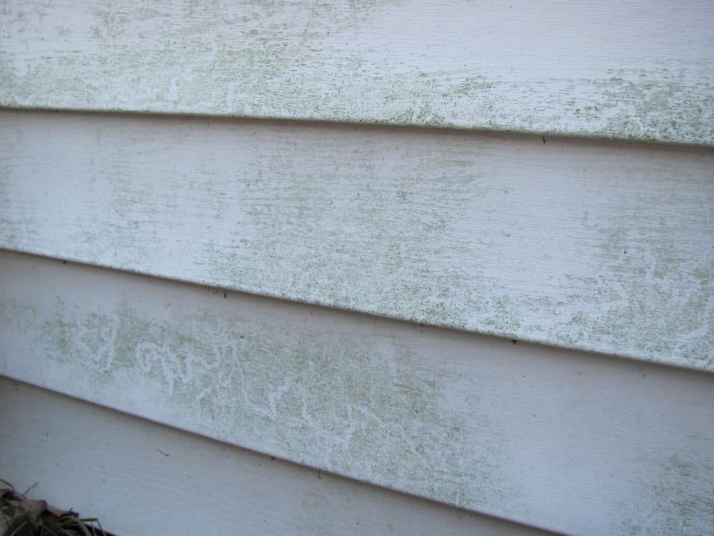 nj-how-to-remove-mildew-and-mold-from-siding-brennan-contracting